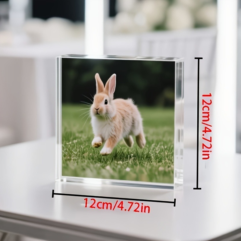 1 Pezzo Regalo Personalizzato  - Photo Acrylic Block recensione e prezzo
