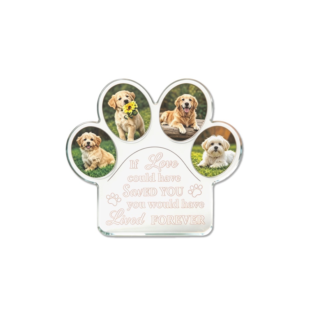 1 Pezzo Blocco Espositivo in A - Photo Acrylic Block recensione e prezzo